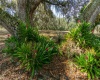 92 CONSTITUTION LANE, FROSTPROOF, Florida 33843, 3 Bedrooms Bedrooms, ,2 BathroomsBathrooms,Residential,For Sale,CONSTITUTION,K4901683