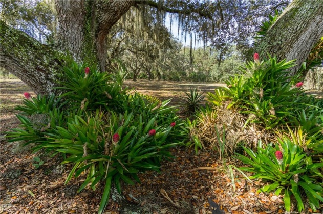92 CONSTITUTION LANE, FROSTPROOF, Florida 33843, 3 Bedrooms Bedrooms, ,2 BathroomsBathrooms,Residential,For Sale,CONSTITUTION,K4901683