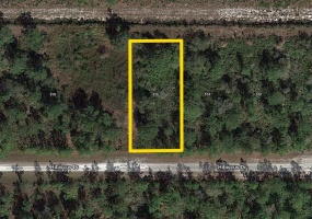 516 HIBISCUS DRIVE, INDIAN LAKE ESTATES, Florida 33855, ,Land,For Sale,HIBISCUS,T3360844