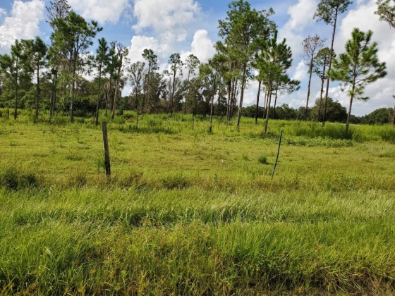 500 POOL BRANCH ROAD, FORT MEADE, Florida 33841, 3 Bedrooms Bedrooms, ,2 BathroomsBathrooms,Residential,For Sale,POOL BRANCH,B4900837
