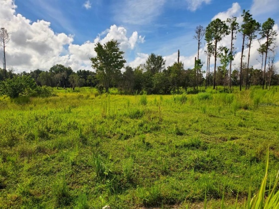 500 POOL BRANCH ROAD, FORT MEADE, Florida 33841, 3 Bedrooms Bedrooms, ,2 BathroomsBathrooms,Residential,For Sale,POOL BRANCH,B4900837