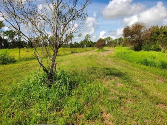 500 POOL BRANCH ROAD, FORT MEADE, Florida 33841, 3 Bedrooms Bedrooms, ,2 BathroomsBathrooms,Residential,For Sale,POOL BRANCH,B4900837