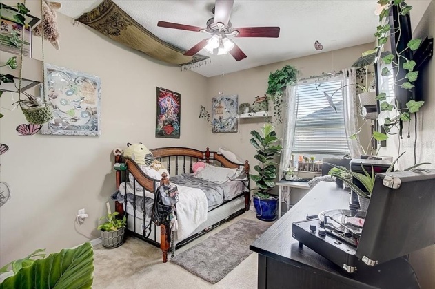 260 MAGNETA LOOP, AUBURNDALE, Florida 33823, 4 Bedrooms Bedrooms, ,2 BathroomsBathrooms,Residential,For Sale,MAGNETA,T3360790