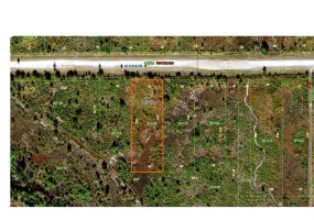 ALTHEA DRIVE, LAKE WALES, Florida 33898, ,Land,For Sale,ALTHEA,C7457299