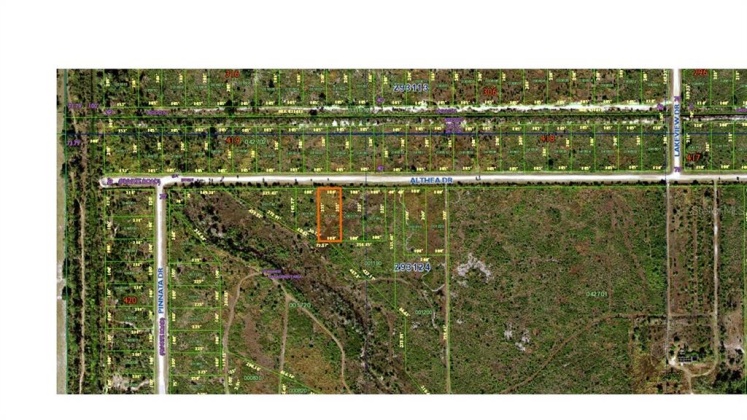 ALTHEA DRIVE, LAKE WALES, Florida 33898, ,Land,For Sale,ALTHEA,C7457299