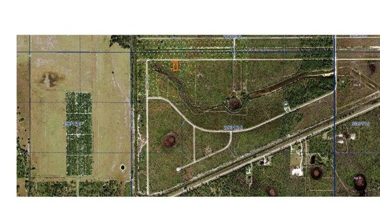 ALTHEA DRIVE, LAKE WALES, Florida 33898, ,Land,For Sale,ALTHEA,C7457299