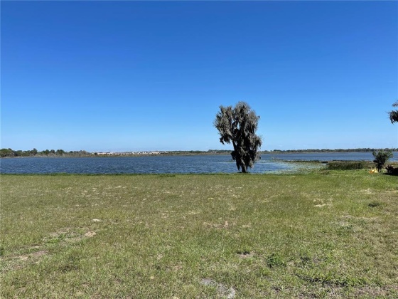 416 BONAMIA AVENUE, LAKE ALFRED, Florida 33850, ,Land,For Sale,BONAMIA,O6011130