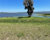 416 BONAMIA AVENUE, LAKE ALFRED, Florida 33850, ,Land,For Sale,BONAMIA,O6011130