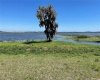416 BONAMIA AVENUE, LAKE ALFRED, Florida 33850, ,Land,For Sale,BONAMIA,O6011130