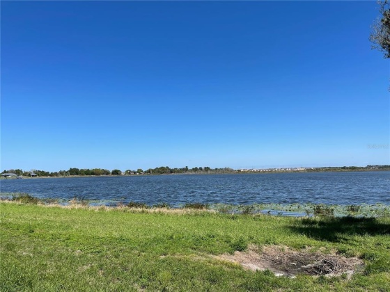 416 BONAMIA AVENUE, LAKE ALFRED, Florida 33850, ,Land,For Sale,BONAMIA,O6011130