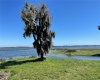 416 BONAMIA AVENUE, LAKE ALFRED, Florida 33850, ,Land,For Sale,BONAMIA,O6011130