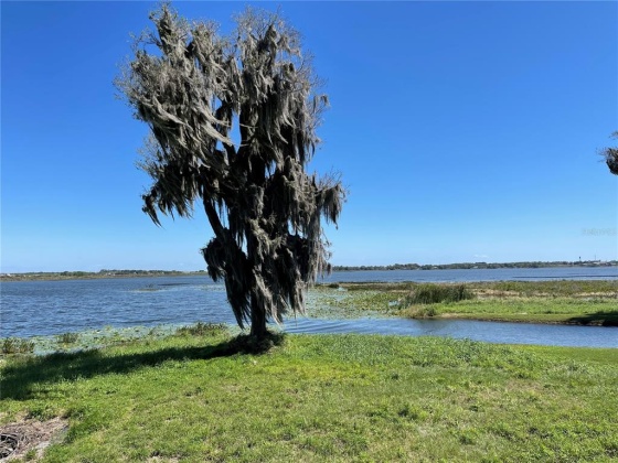 416 BONAMIA AVENUE, LAKE ALFRED, Florida 33850, ,Land,For Sale,BONAMIA,O6011130