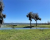 416 BONAMIA AVENUE, LAKE ALFRED, Florida 33850, ,Land,For Sale,BONAMIA,O6011130