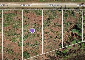 ALTHEA DRIVE, LAKE WALES, Florida 33898, ,Land,For Sale,ALTHEA,S5063227