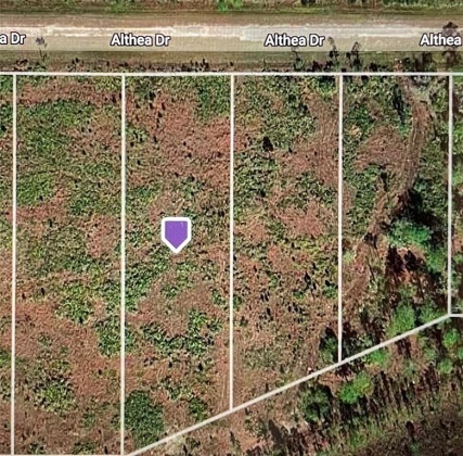 ALTHEA DRIVE, LAKE WALES, Florida 33898, ,Land,For Sale,ALTHEA,S5063227