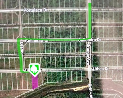 ALTHEA DRIVE, LAKE WALES, Florida 33898, ,Land,For Sale,ALTHEA,S5063227