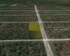 323 ALBA DRIVE, INDIAN LAKE ESTATES, Florida 33855, ,Land,For Sale,ALBA,O6007688