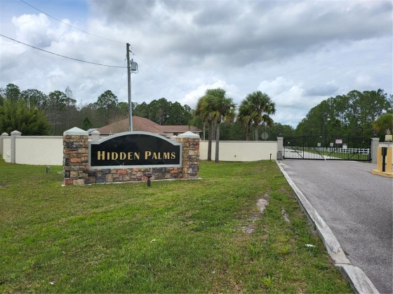 131 HIDDEN PALMS COURT, DAVENPORT, Florida 33897, 4 Bedrooms Bedrooms, ,3 BathroomsBathrooms,Residential,For Sale,HIDDEN PALMS,O6010396