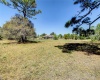 131 HIDDEN PALMS COURT, DAVENPORT, Florida 33897, 4 Bedrooms Bedrooms, ,3 BathroomsBathrooms,Residential,For Sale,HIDDEN PALMS,O6010396