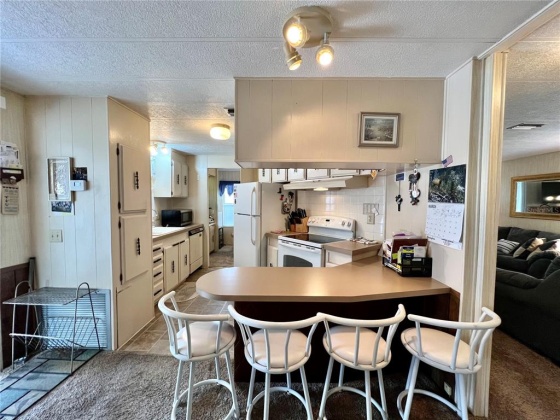 49 WOODLAND CIRCLE, HAINES CITY, Florida 33844, 2 Bedrooms Bedrooms, ,2 BathroomsBathrooms,Residential,For Sale,WOODLAND,P4919921