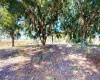 501 KEEN ROAD, FROSTPROOF, Florida 33843, 3 Bedrooms Bedrooms, ,2 BathroomsBathrooms,Residential,For Sale,KEEN,K4901475
