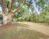 312 PALENCIA PLACE, LAKELAND, Florida 33803, 3 Bedrooms Bedrooms, ,3 BathroomsBathrooms,Residential,For Sale,PALENCIA,L4928653