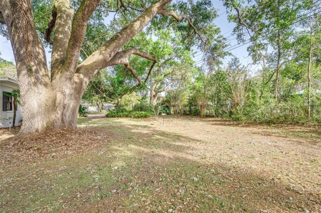 312 PALENCIA PLACE, LAKELAND, Florida 33803, 3 Bedrooms Bedrooms, ,3 BathroomsBathrooms,Residential,For Sale,PALENCIA,L4928653
