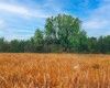 BROOKE LAKES DRIVE, FORT MEADE, Florida 33841, ,Land,For Sale,BROOKE LAKES,L4928684