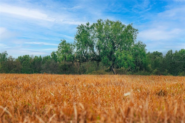 BROOKE LAKES DRIVE, FORT MEADE, Florida 33841, ,Land,For Sale,BROOKE LAKES,L4928684