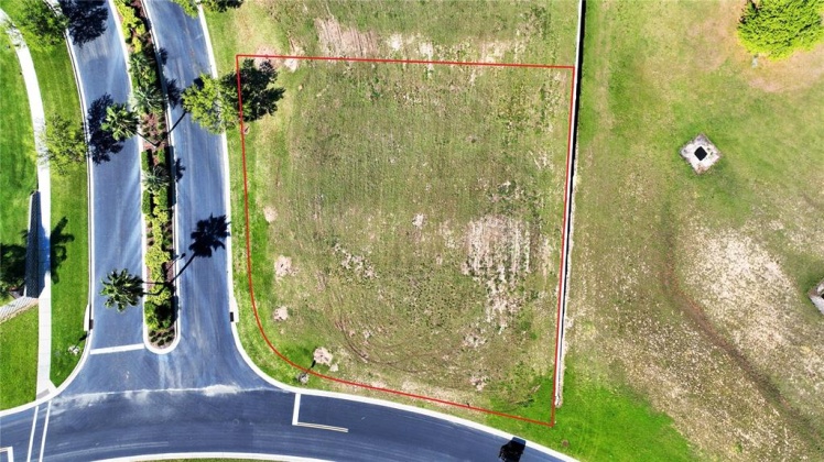 225 CALADIUM AVENUE, LAKE ALFRED, Florida 33850, ,Land,For Sale,CALADIUM,P4919969