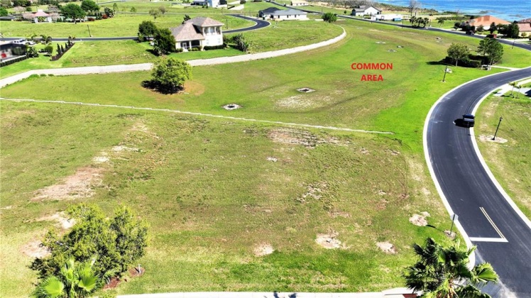 225 CALADIUM AVENUE, LAKE ALFRED, Florida 33850, ,Land,For Sale,CALADIUM,P4919969