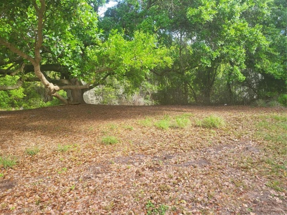 0 CANAL COURT, LAKE WALES, Florida 33859, ,Land,For Sale,CANAL,P4919972
