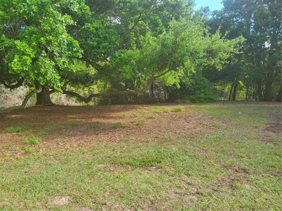 0 CANAL COURT, LAKE WALES, Florida 33859, ,Land,For Sale,CANAL,P4919972