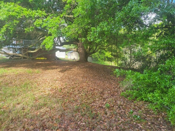 0 CANAL COURT, LAKE WALES, Florida 33859, ,Land,For Sale,CANAL,P4919972