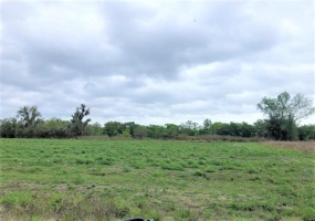 OLD BOWLING GREEN ROAD, FORT MEADE, Florida 33841, ,Land,For Sale,OLD BOWLING GREEN,B4900965