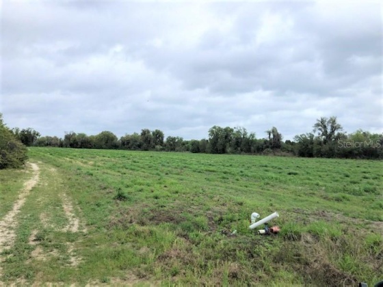 OLD BOWLING GREEN ROAD, FORT MEADE, Florida 33841, ,Land,For Sale,OLD BOWLING GREEN,B4900965