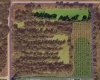 OLD BOWLING GREEN ROAD, FORT MEADE, Florida 33841, ,Land,For Sale,OLD BOWLING GREEN,B4900965
