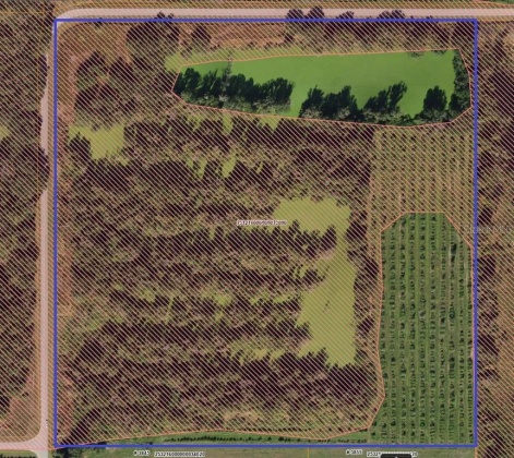 OLD BOWLING GREEN ROAD, FORT MEADE, Florida 33841, ,Land,For Sale,OLD BOWLING GREEN,B4900965