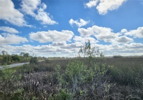 LAKE LOWERY ROAD, HAINES CITY, Florida 33844, ,Land,For Sale,LAKE LOWERY,O6011960