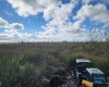 LAKE LOWERY ROAD, HAINES CITY, Florida 33844, ,Land,For Sale,LAKE LOWERY,O6011960