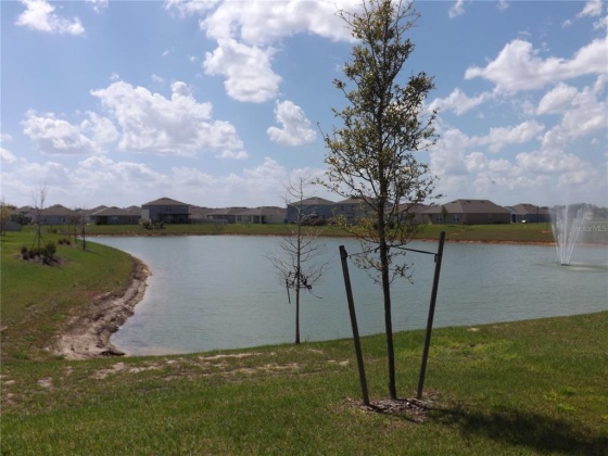 733 BROOKLET DRIVE, DAVENPORT, Florida 33837, 3 Bedrooms Bedrooms, ,2 BathroomsBathrooms,Rental Properties,For Sale,BROOKLET,O6011968