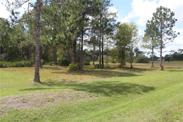 4550 WRIGHT BROS ROAD, FROSTPROOF, Florida 33843, ,Land,For Sale,WRIGHT BROS,O6012036