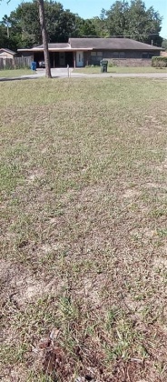364 CAROLINA AVENUE, LAKE ALFRED, Florida 33850, ,Land,For Sale,CAROLINA,O6011148
