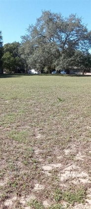 364 CAROLINA AVENUE, LAKE ALFRED, Florida 33850, ,Land,For Sale,CAROLINA,O6011148