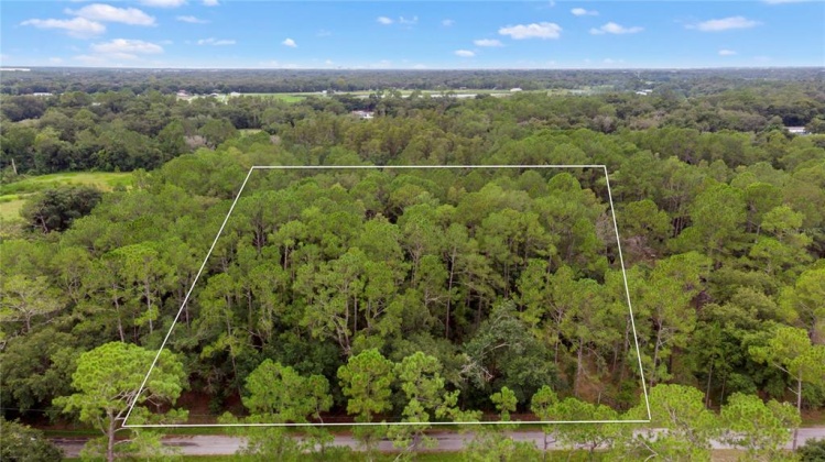 0 HOLLYWOOD LANE, LAKELAND, Florida 33809, ,Land,For Sale,HOLLYWOOD,L4924623