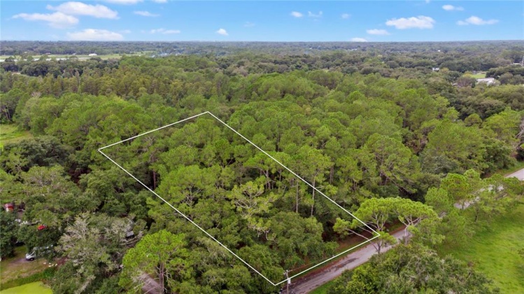 0 HOLLYWOOD LANE, LAKELAND, Florida 33809, ,Land,For Sale,HOLLYWOOD,L4924623