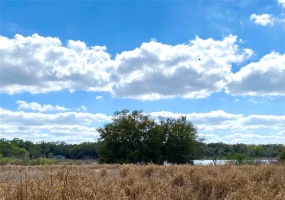 0 PALM STREET, LAKE WALES, Florida 33859, ,Land,For Sale,PALM,T3361227