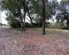 1216 US HWY 17 92, DAVENPORT, Florida 33837, ,Land,For Sale,US HWY 17 92,O5998582