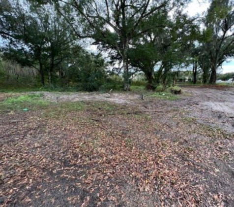 1216 US HWY 17 92, DAVENPORT, Florida 33837, ,Land,For Sale,US HWY 17 92,O5998582