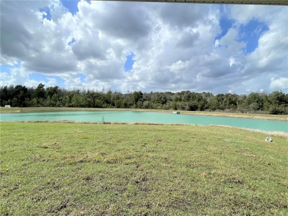 1602 REDDISH EGRET COURT, DAVENPORT, Florida 33897, 4 Bedrooms Bedrooms, ,2 BathroomsBathrooms,Rental Properties,For Sale,REDDISH EGRET,O6012527